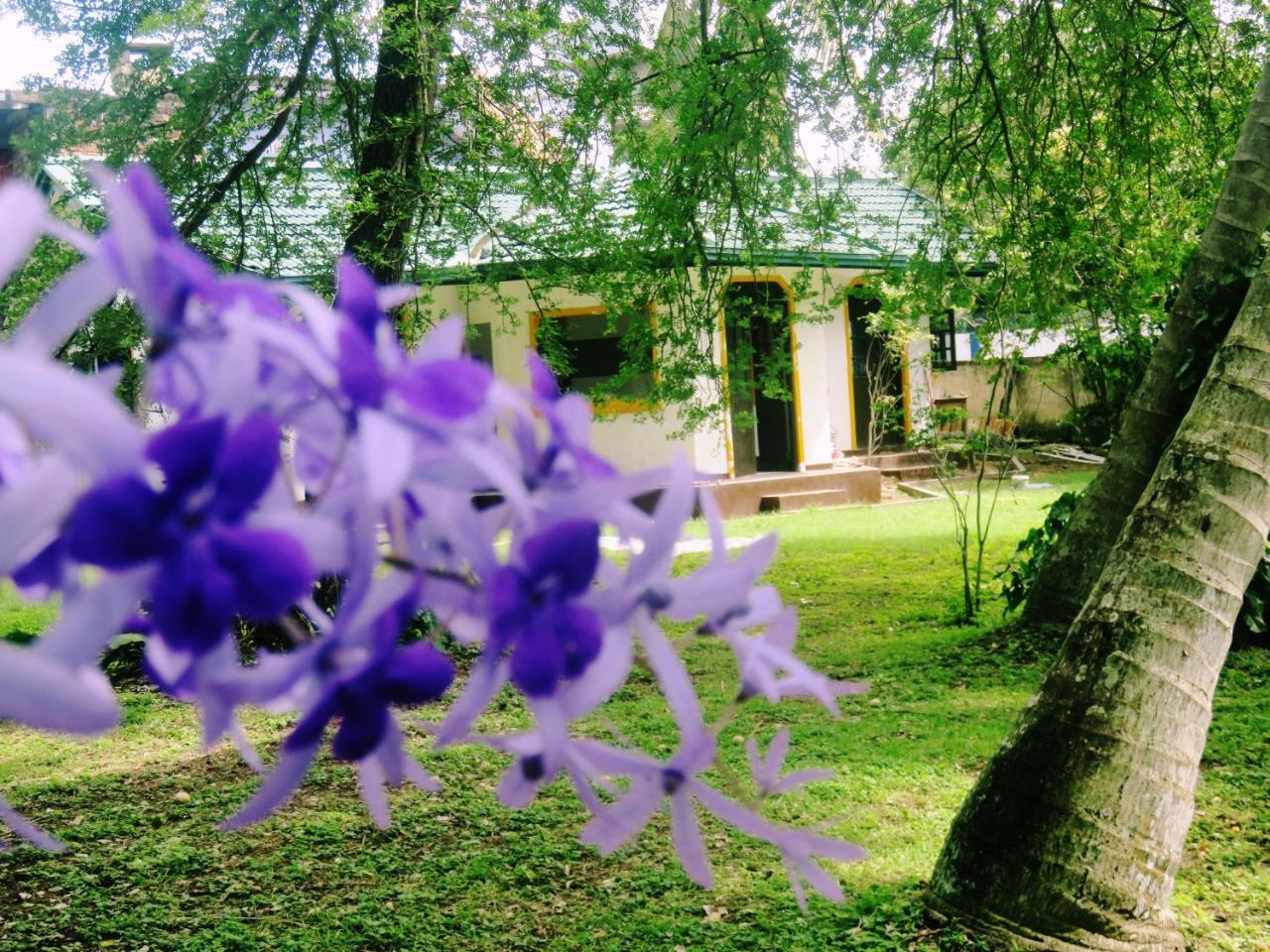 Sea Avenue - Eco Garden Hotel Тангале Екстериор снимка
