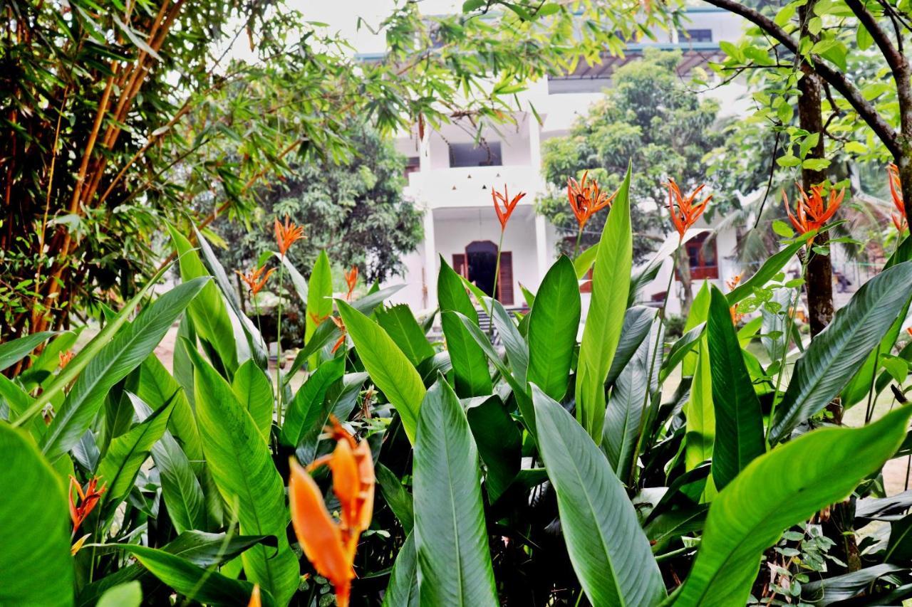 Sea Avenue - Eco Garden Hotel Тангале Екстериор снимка