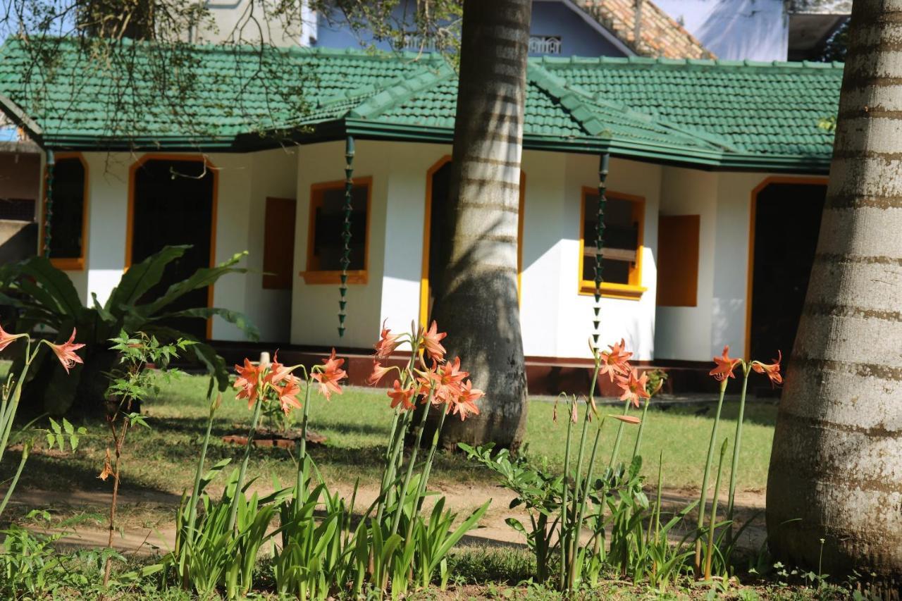 Sea Avenue - Eco Garden Hotel Тангале Екстериор снимка